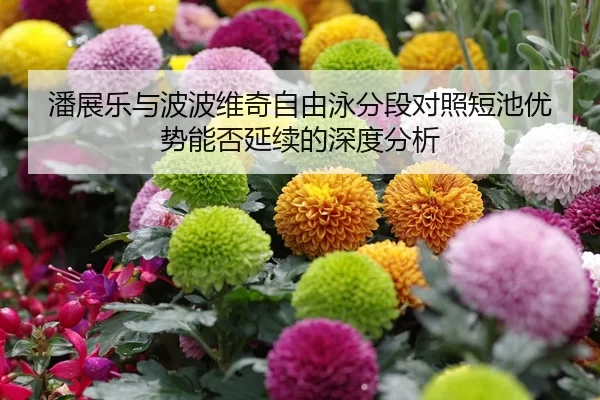 pan-zhan-le-yu-bo-bo-wei-qi-zi-you-yong-fen-duan-dui-zhao-duan-chi-you-shi-neng-fou-yan-xu-de-shen-du-fen-xi-1-464.jpg