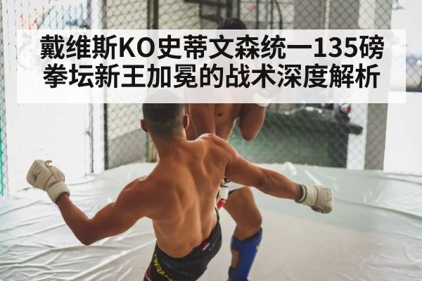 boxing fight