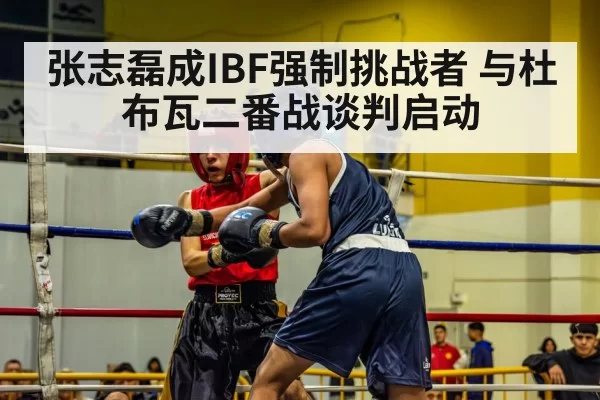 张志磊成IBF强制挑战者 与杜布瓦二番战谈判启动